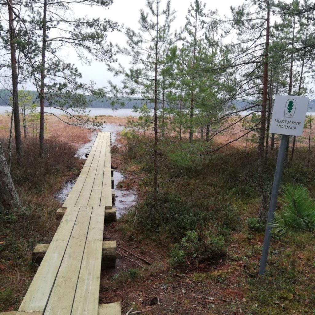 Mustjärv Elva vallas