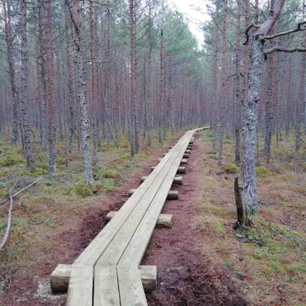 Matkarada ümber Mustjärve